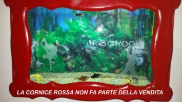 Divisorio per Acquario in Plexiglass