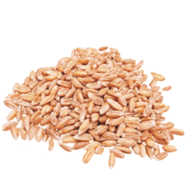 semi di farro